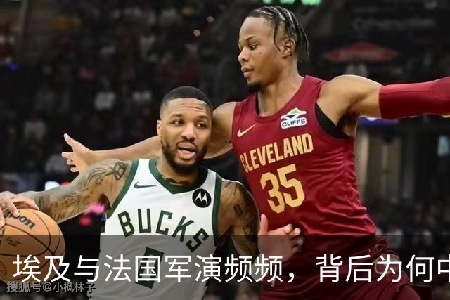 埃及与法国军演频频，背后为何中国依然从容应对？